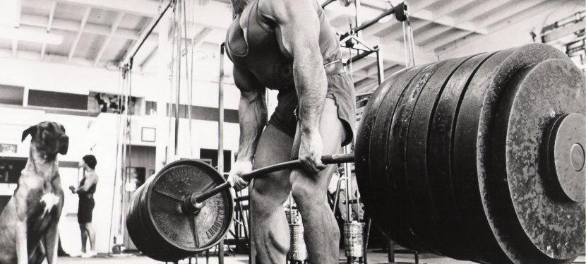 Fitness Quest: The Fatness is Starting to Go Away…But Not&nbsp;Quickly