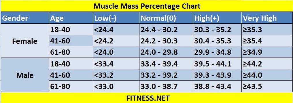 muscle-mass-percentage-chart