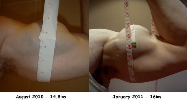 The Secret to Building Big Arms Which No One Else is Willing to Share&nbsp;Is…