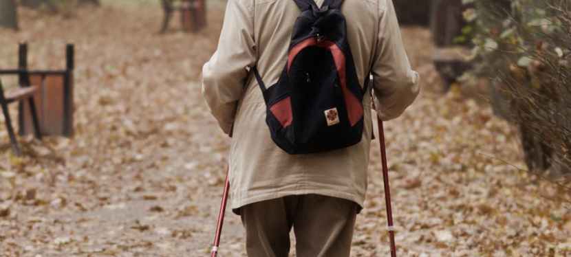 A Journey of 10,000&nbsp;Steps