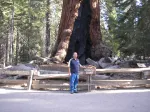 Standing in front of Grizzly Giant at Yosemite National Park.
